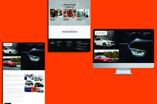 DGGS Investment Company Ltd